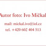 Tanec tanec 2020 celostátní přehlídka scénického tance mládeže a dospělých 12.12.21  Jablonec nad Nisou - Městské divadlo Velký soubor ZŠ a ZUŠ choreografie: Jsem...